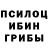 Бошки Шишки VHQ Theodor Florin