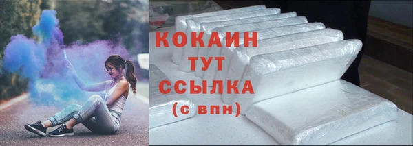 крисы Баксан